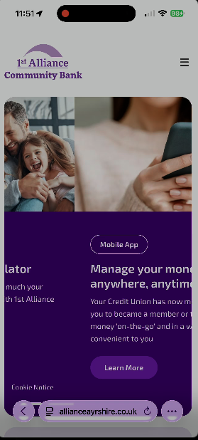 Check Your Balances